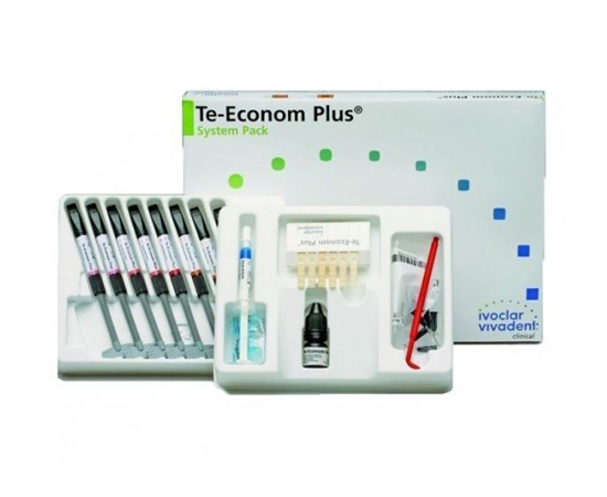 Te-econom Plus